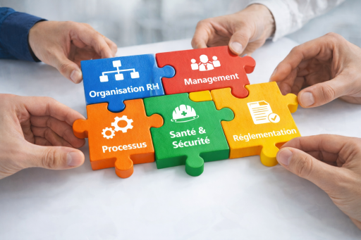 Pièces de puzzle représentant les composantes de la fonction RH : organisation, management, processus, santé et sécurité et réglementation
