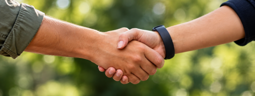 Conseil et accompagnement